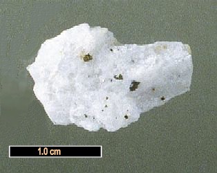 Large Stenonite Image