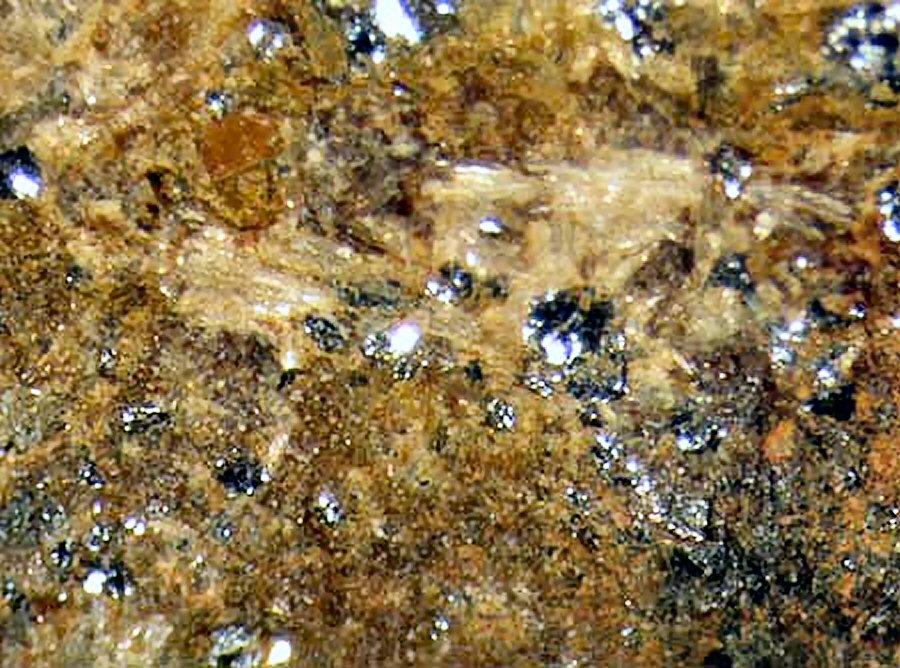 Large Protomangano-ferro-anthophyllite Image